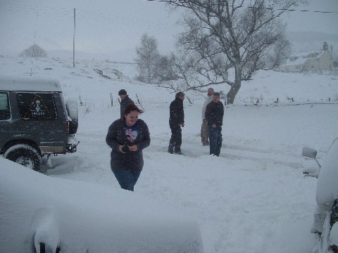 image8002