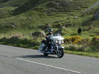 RSCN6469