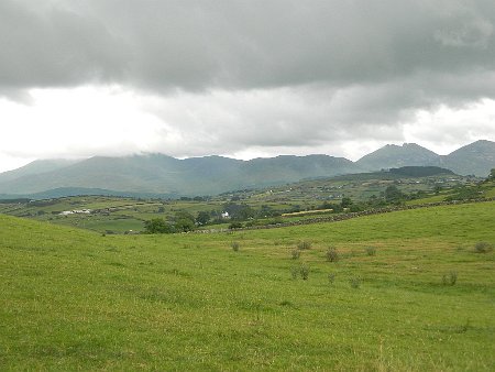 DSCN6929