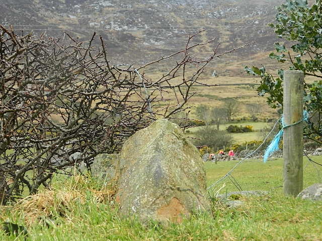 DSCN8875